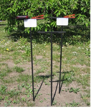 O stands